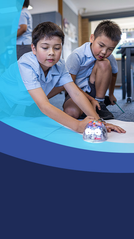 Students programming a bee bot in the classroom at St John's Primary School Riverstone