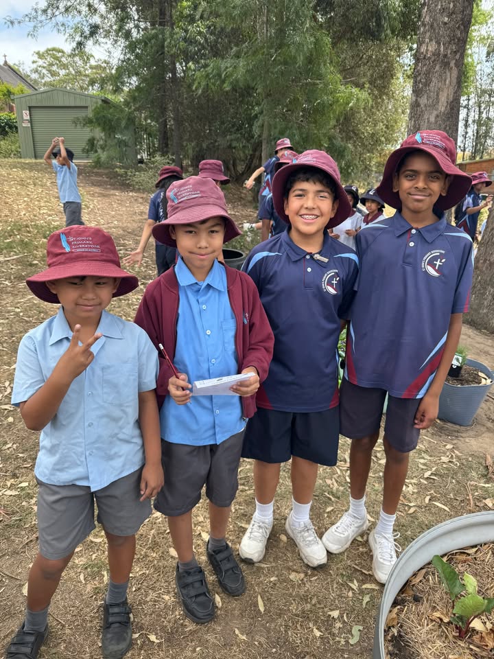 746041150857862_1421815099947127-1