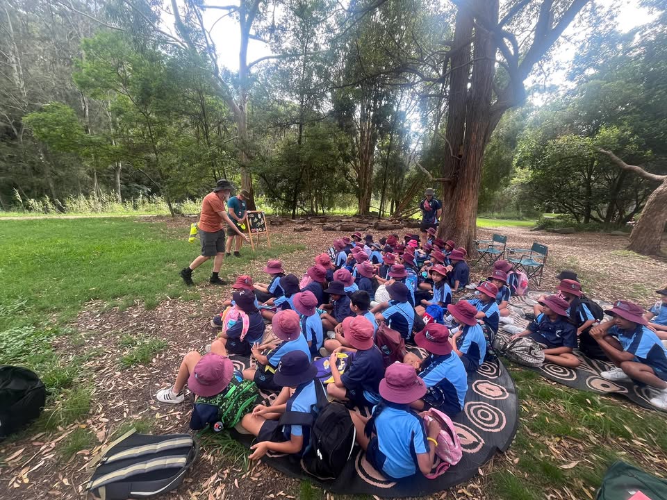 746041150857862_1487583140036989-1