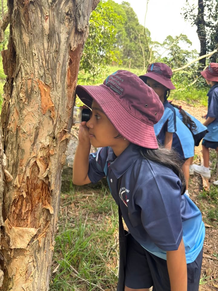 746041150857862_1487747473353889-1