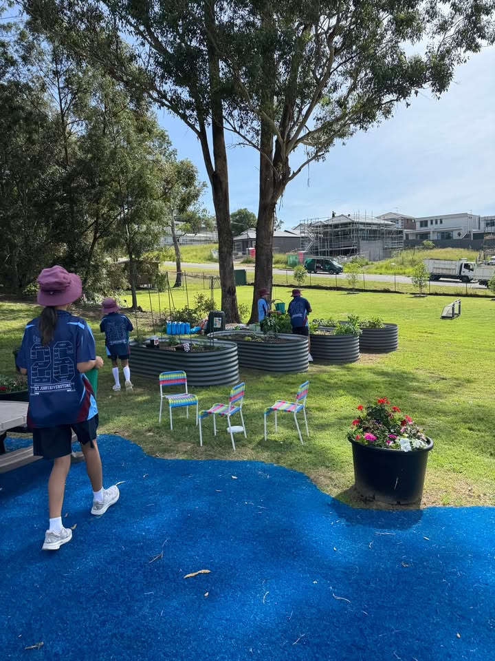 746041150857862_1504157018379601-1