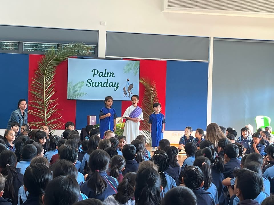 746041150857862_1519692896826013-1