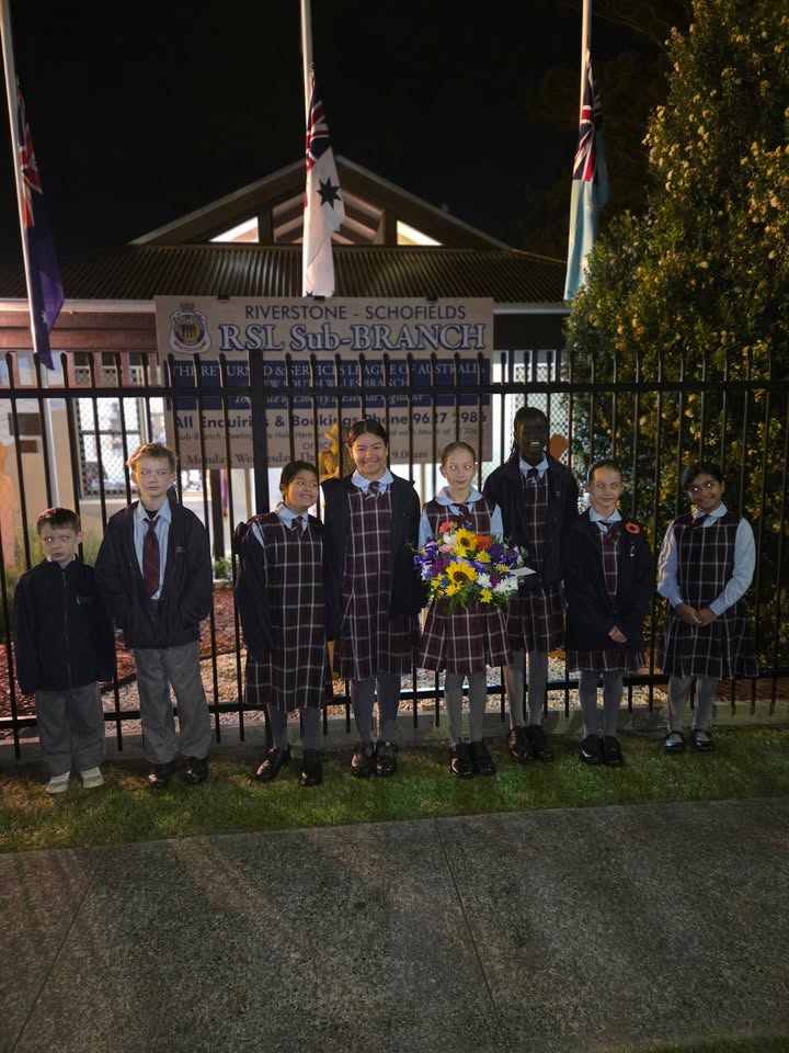 746041150857862_1540185064776796-1